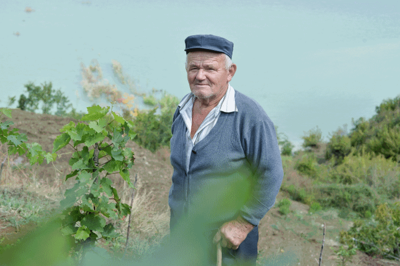 Farmer in field